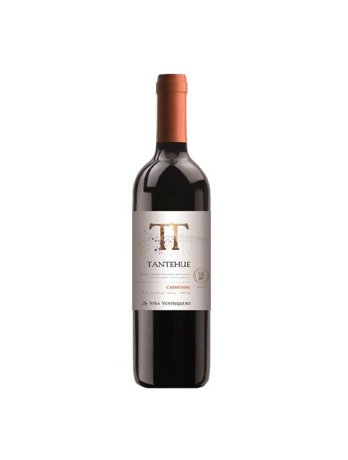 Vinho Tantehue Carménère 2022 Tinto Chile 750ml