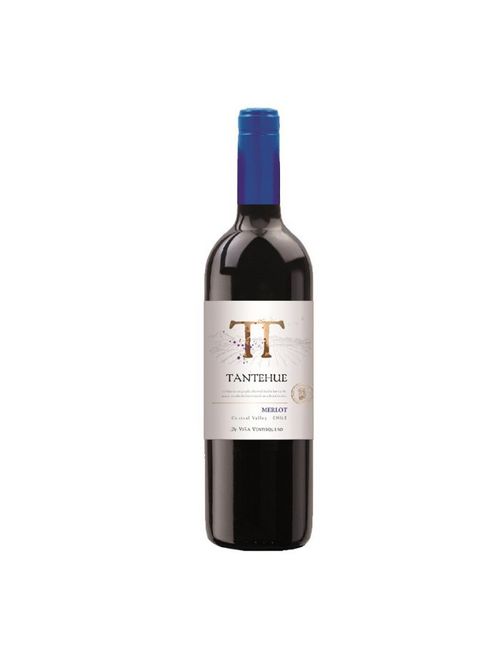 Vinho Tantehue Merlot 2022 Tinto Chile 750ml