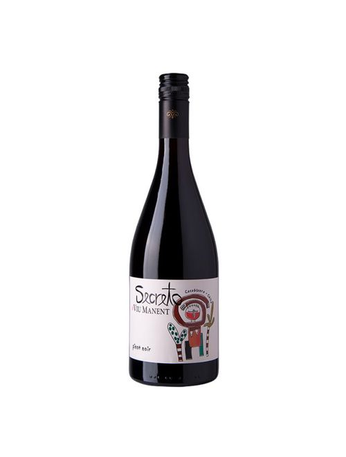 Vinho Viu Manent Secreto Gran Reserva Pinot Noir 2020 Tinto Chile 750ml