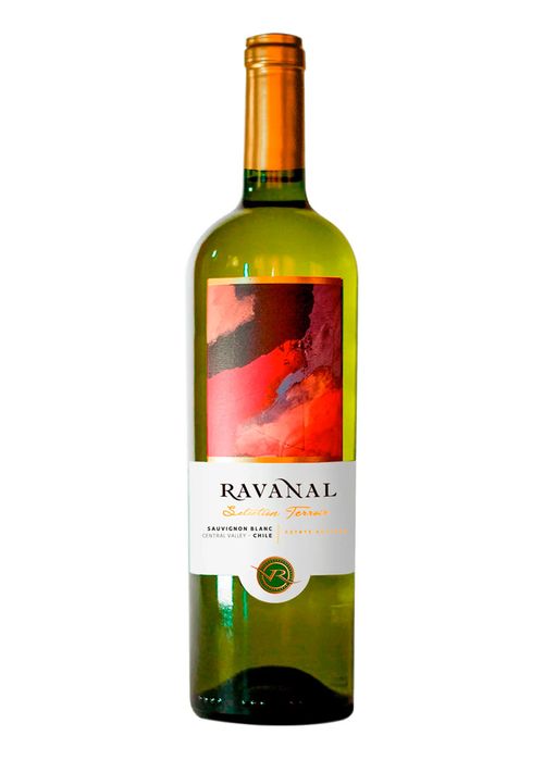 Vinho Ravanal Selection Terroir Sauvignon Blanc 2021 Branco Chile 750ml