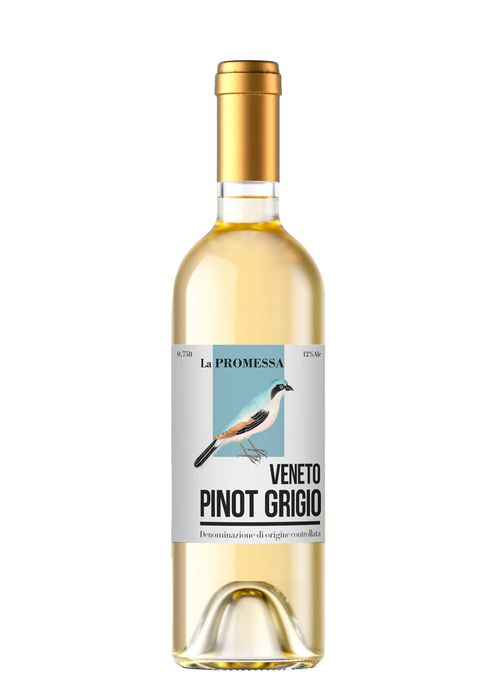 Vinho Pinot Grigio La Promessa DOC 2022 Branco Itália 750ml