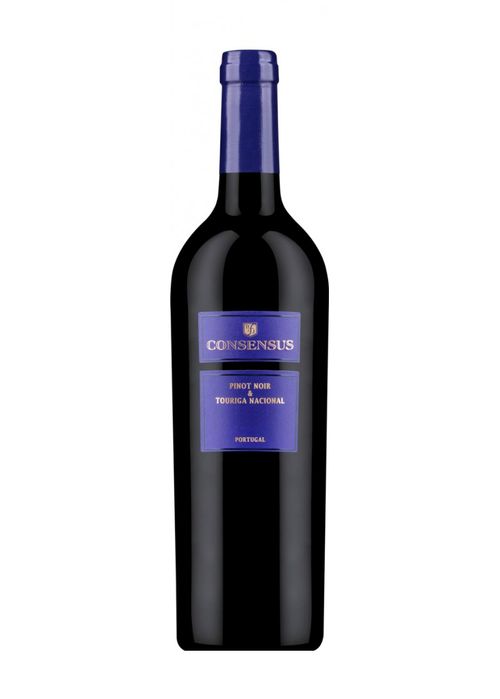 Vinho Consensus Pinot Noir Touriga Nacional 2016 Tinto Portugal 750ml