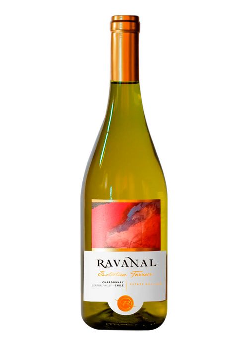 Vinho Ravanal Selection Terroir Chardonnay 2021 Branco Chile 750ml