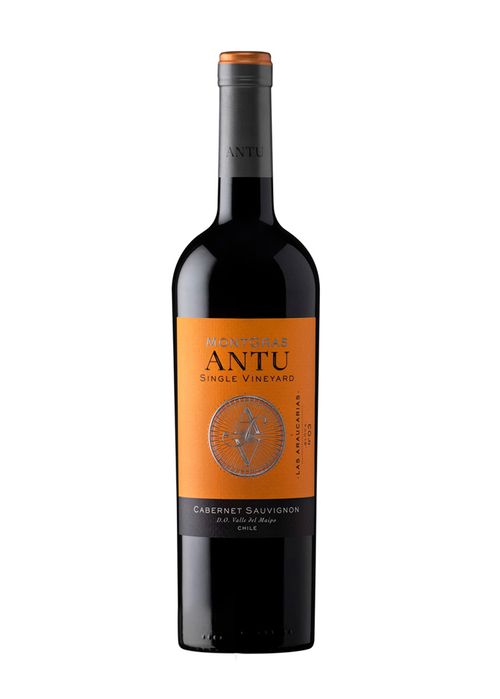 Vinho Montgras Antu Single Vineyard Cabernet Sauvignon 2021 Tinto Chile 750ml
