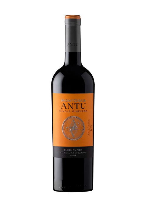 Vinho Montgras Antu Single Vineyard Carménère 2021 Tinto Chile 750ml