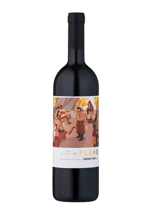 Vinho Marzarotto Pleno Cabernet Franc Tinto Brasil 750ml