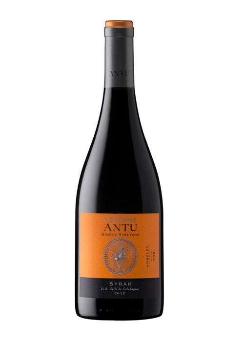 Vinho Montgras Antu Single Vineyard Syrah 2021 Tinto Chile 750ml