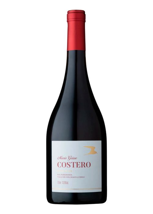 Vinho Mario Geisse Costero Pinot Noir 2021 Tinto Chile 750ml