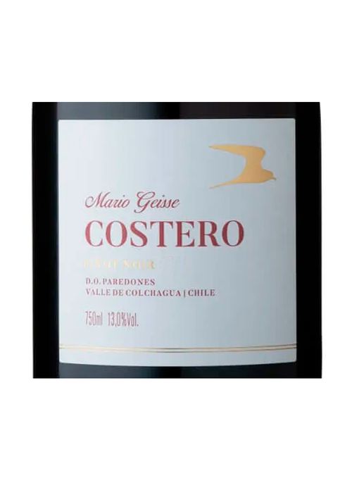 Vinho Mario Geisse Costero Pinot Noir 2021 Tinto Chile 750ml