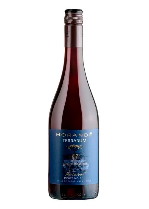 Vinho Morandé Terrarum Reserva Pinot Noir 2021 Tinto Chile 750ml