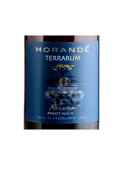 Vinho Morandé Terrarum Reserva Pinot Noir 2022 Tinto Chile 750ml