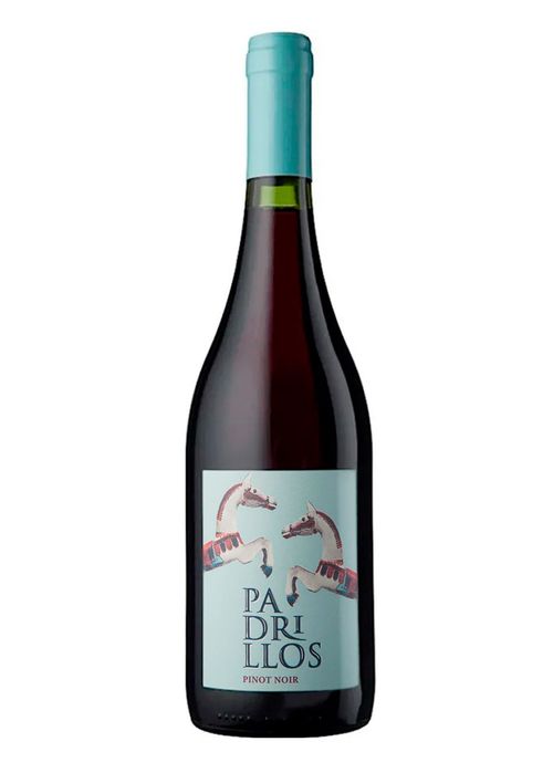 Vinho Padrillos Pinot Noir 2021 Tinto Argentina 750ml