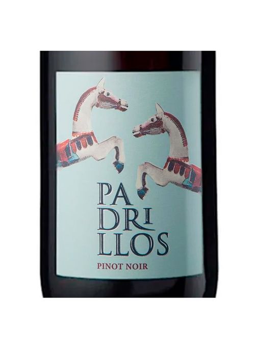 Vinho Padrillos Pinot Noir 2021 Tinto Argentina 750ml