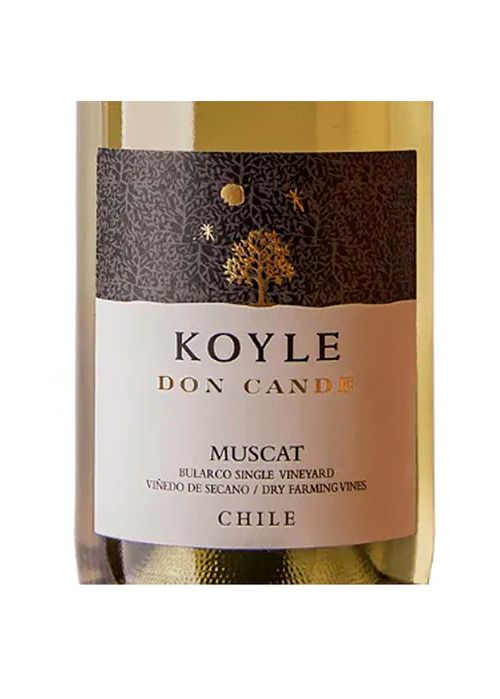 Vinho Koyle Don Cande Muscat de Alexandria 2018 Branco Chile 750ml