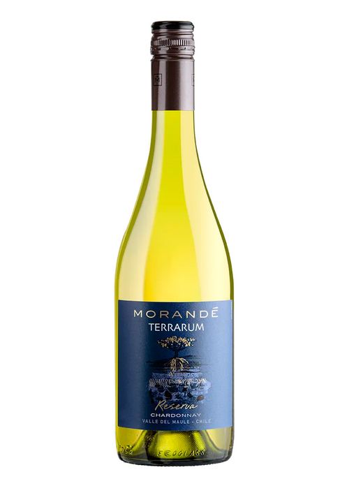 Vinho Morandé Terrarum Reserva Chardonnay 2023 Branco Chile 750ml