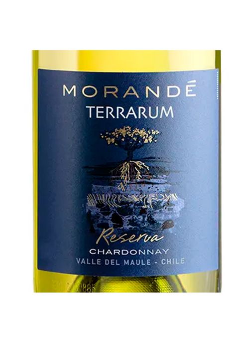 Vinho Morandé Terrarum Reserva Chardonnay 2023 Branco Chile 750ml