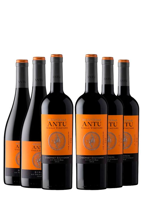 Kit Montgras Antu Single Vineyard (2 Cabernet + 2 Carménère + 2 Syrah)
