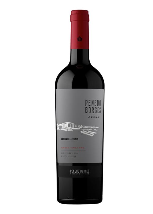 Vinho Penedo Borges Cepas Cabernet Sauvignon 2023 Tinto Argentina 750ml