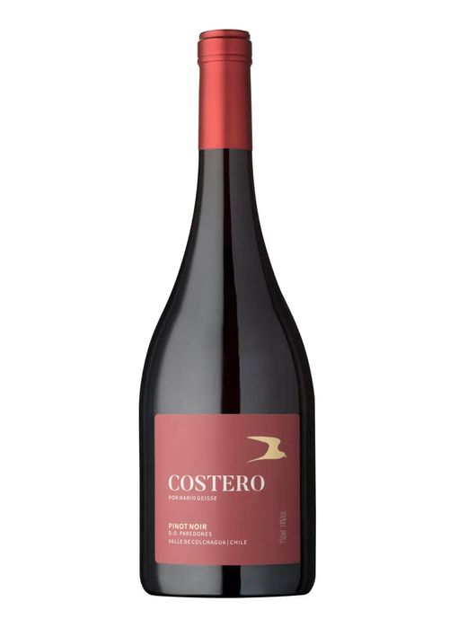 Vinho Mario Geisse Costero Pinot Noir 2023 Tinto Chile 750ml