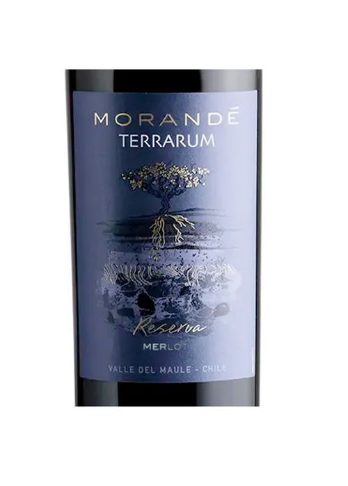 Vinho Morandé Terrarum Reserva Merlot 2023 Tinto Chile 750ml