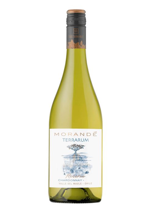 Vinho Morandé Terrarum Reserva Chardonnay 2025 Branco Chile 750ml